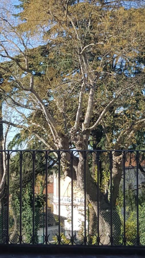 Monolocale Turistico Valentini Apartment Albano Laziale Bagian luar foto